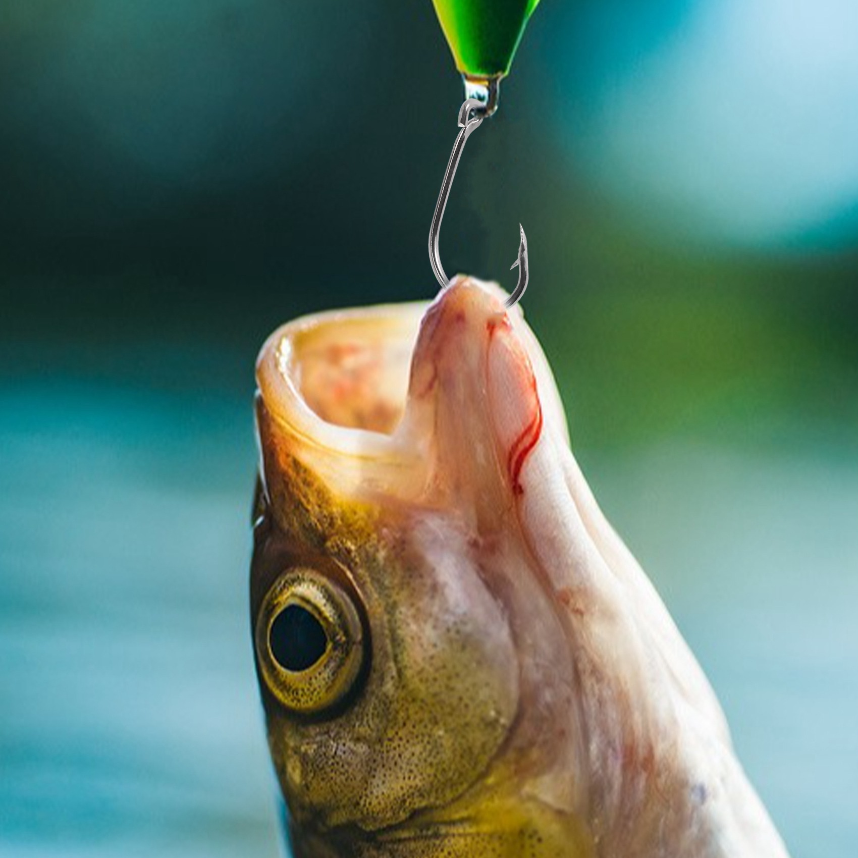 Nouveauté  500 pièces/ensemble - Fishing Hook Size avis et prix
